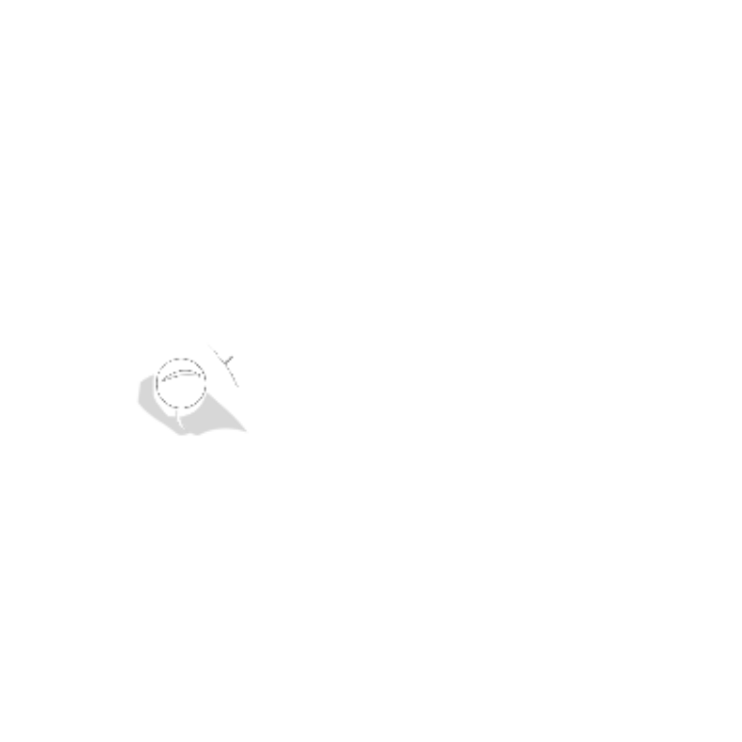 Logo_BigAntStudios_White