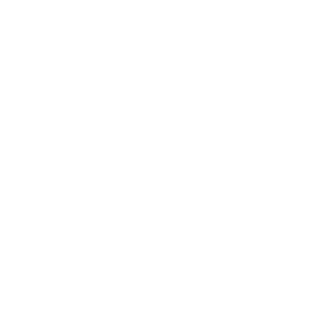 Logo_BigbenInteractive_White