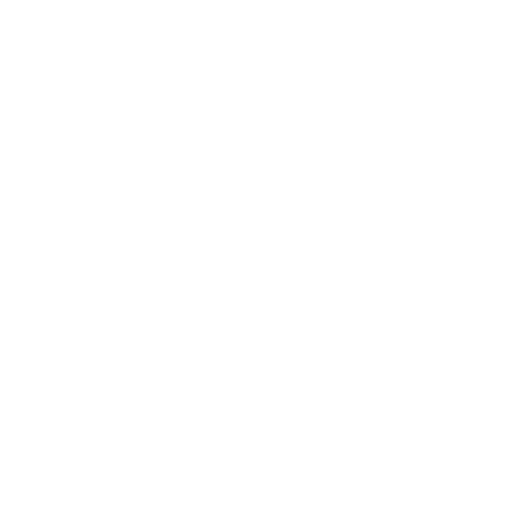 Logo_CyanideStudio_White