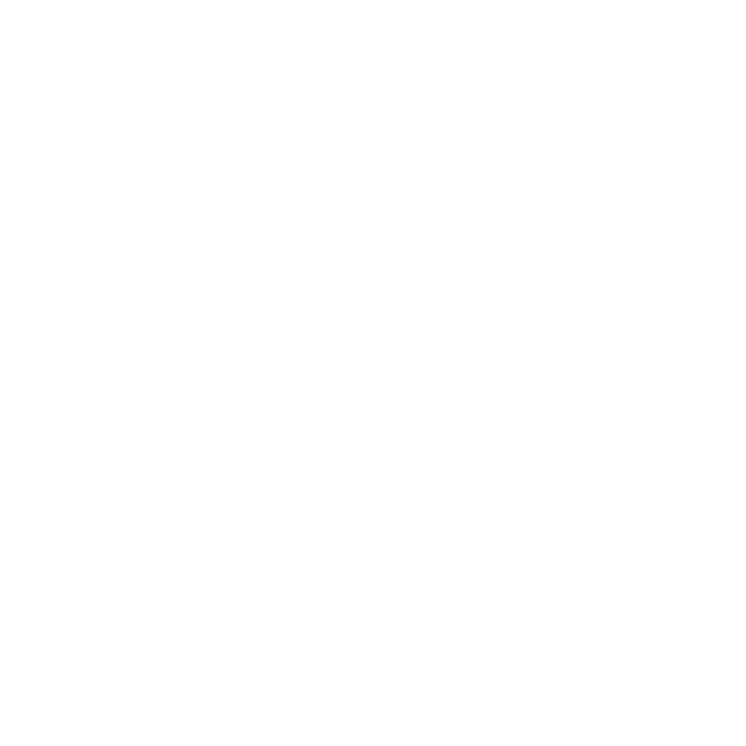 Logo_EkoSoftWare_White