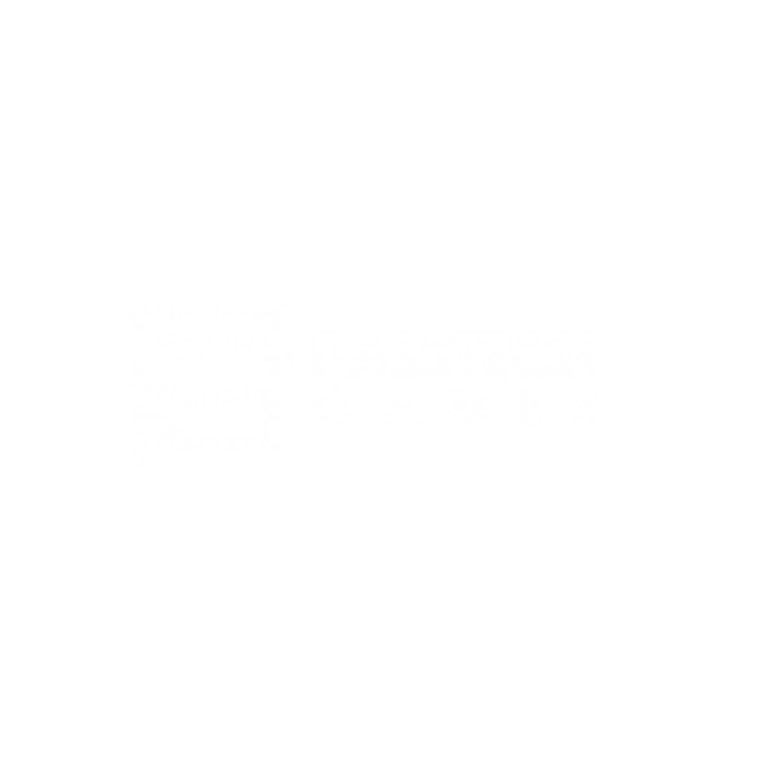 Logo_PasstechGames_White