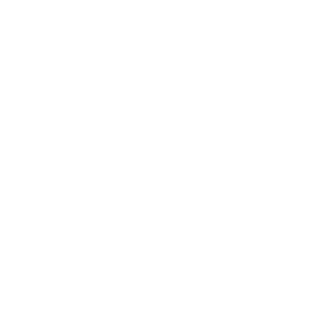 Logo_Vicon_White